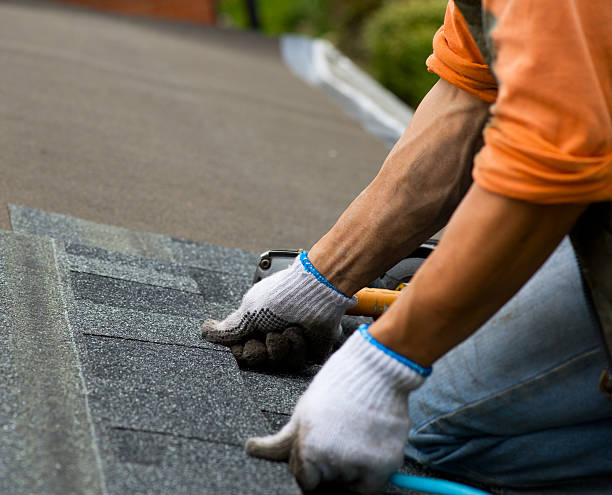 Best Gutter Installation and Roofing  in Shepherd, TX